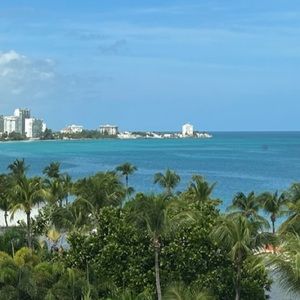 Meet your Posher, Shirley